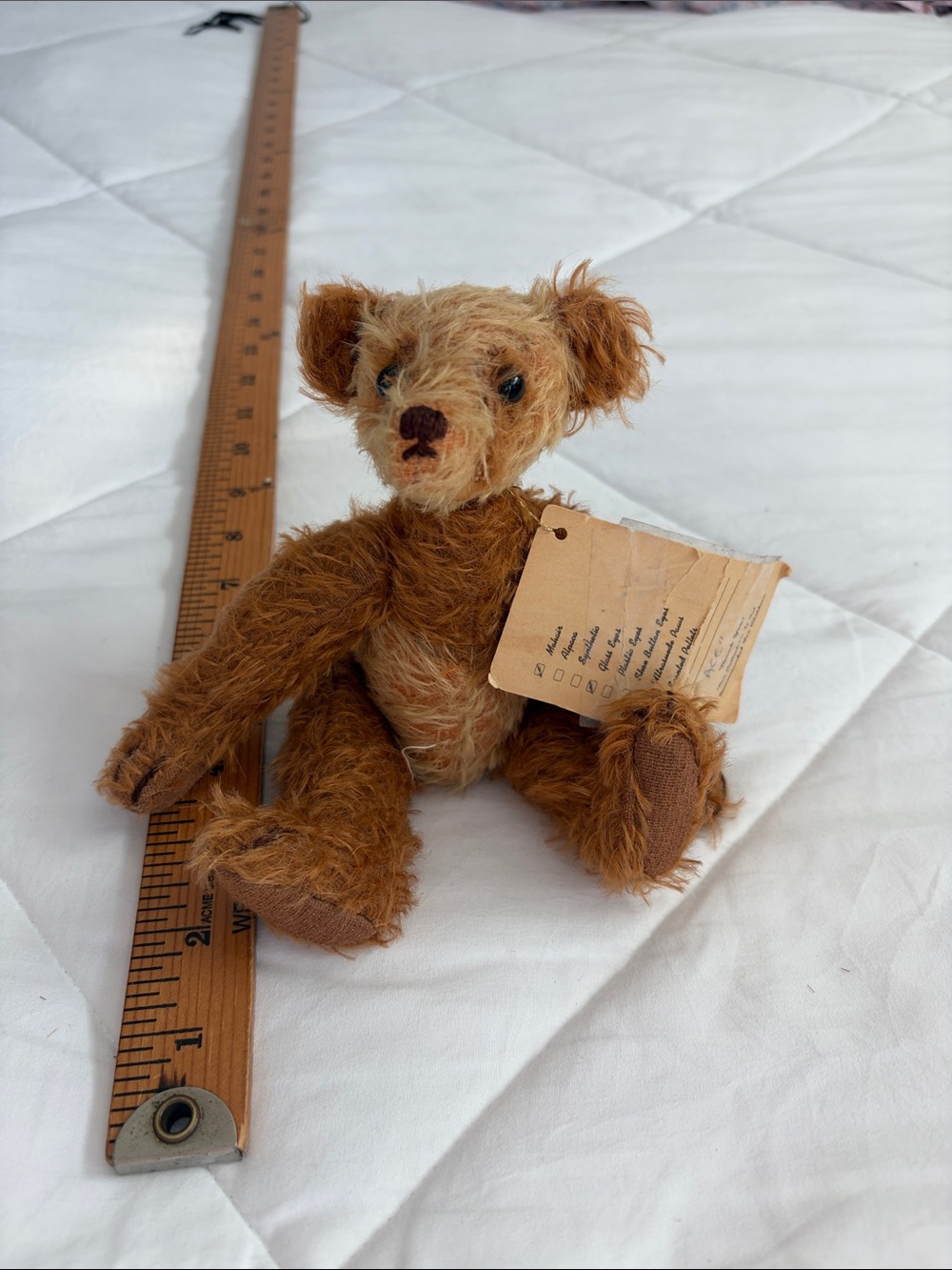 Teddy bear ace - Picture 3 of 11